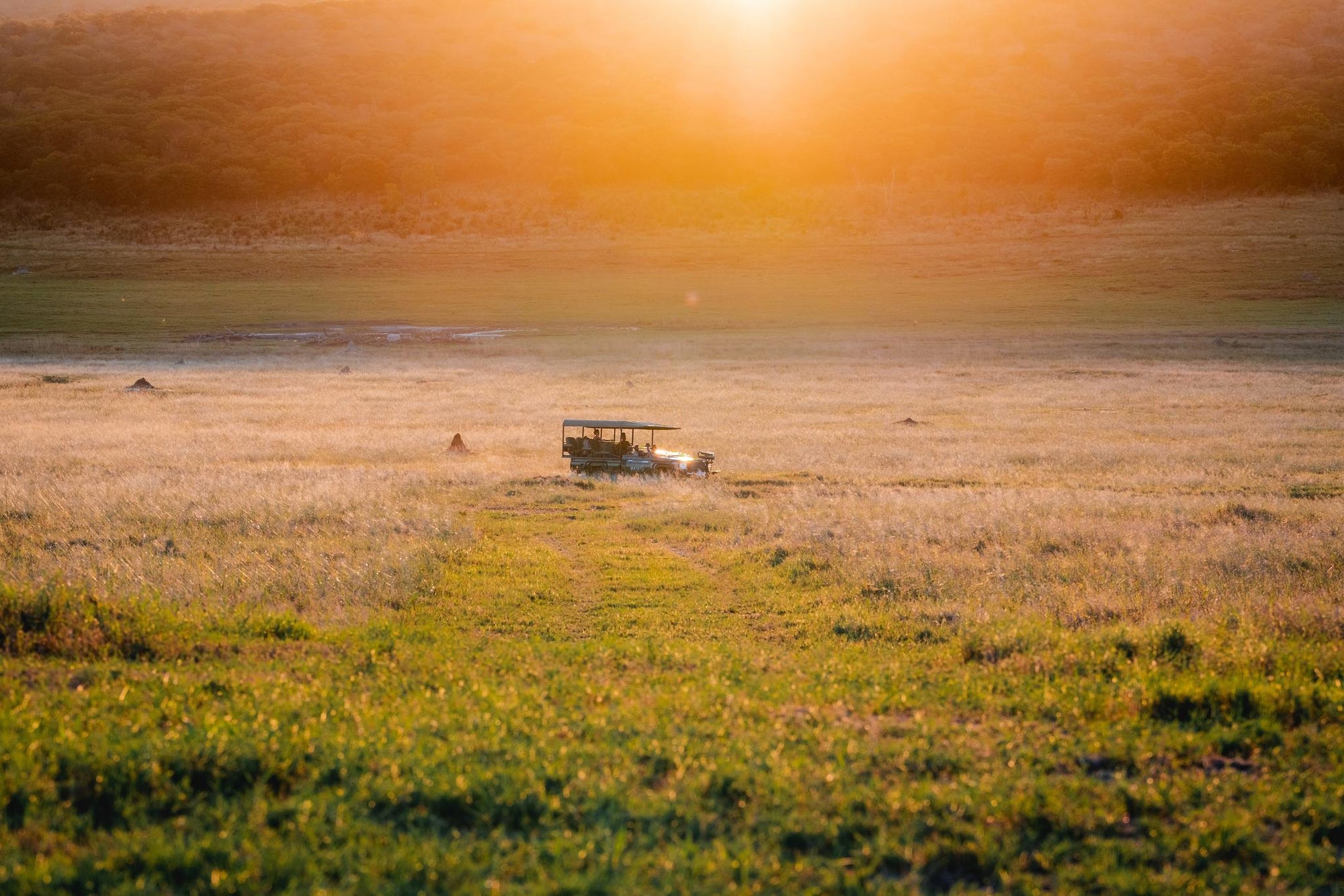 Game Drives, Safaris gallery image 5