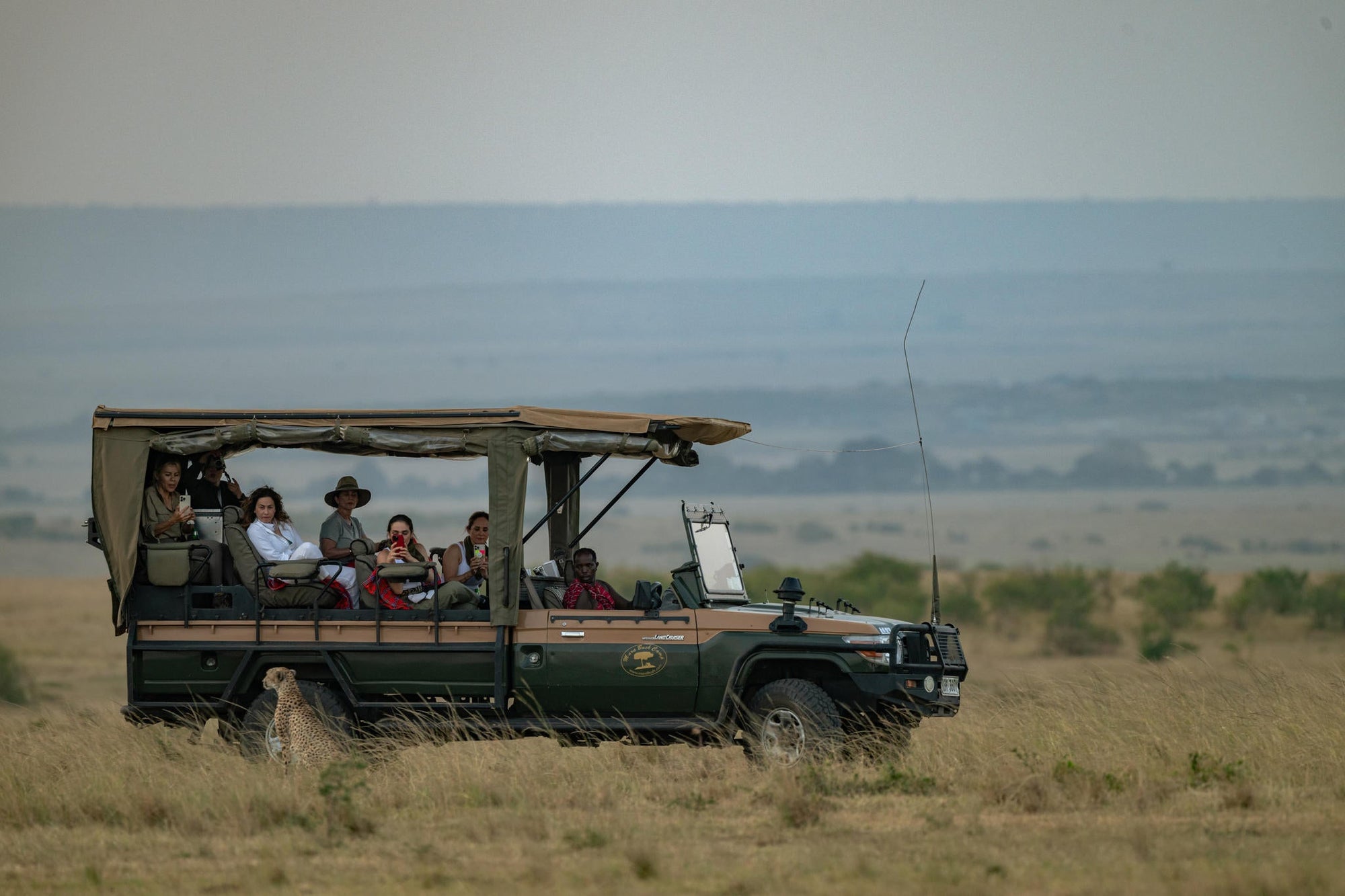 The Game Drive Experience gallery image 8