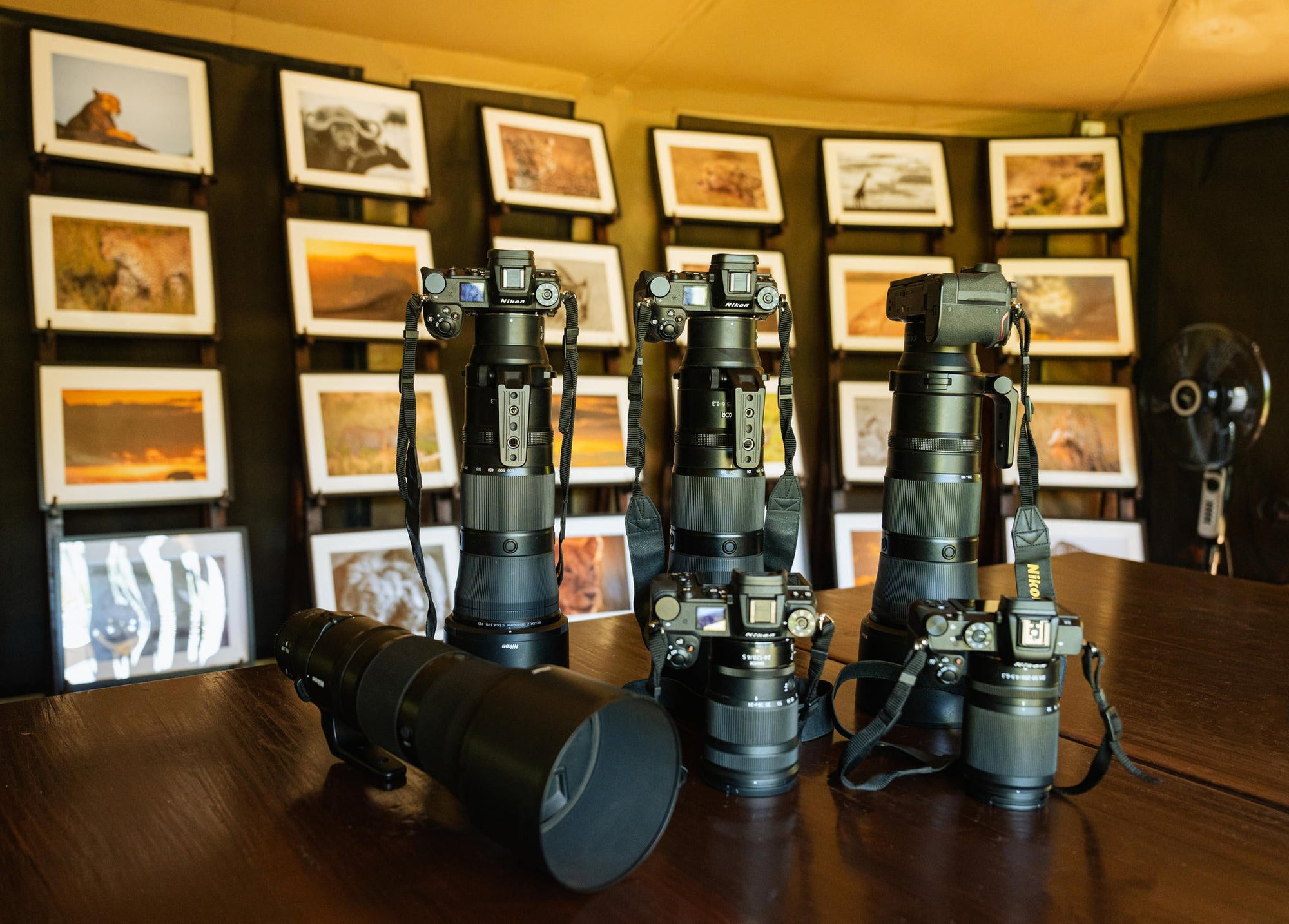 Professional Photography Studio gallery image 5