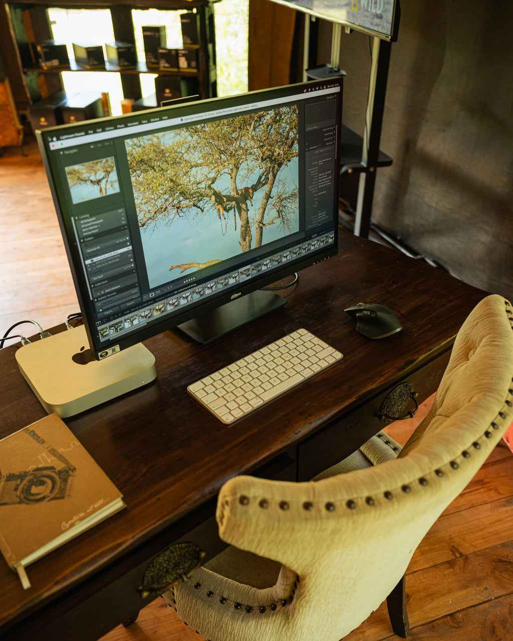 Professional Photography Studio gallery image 6