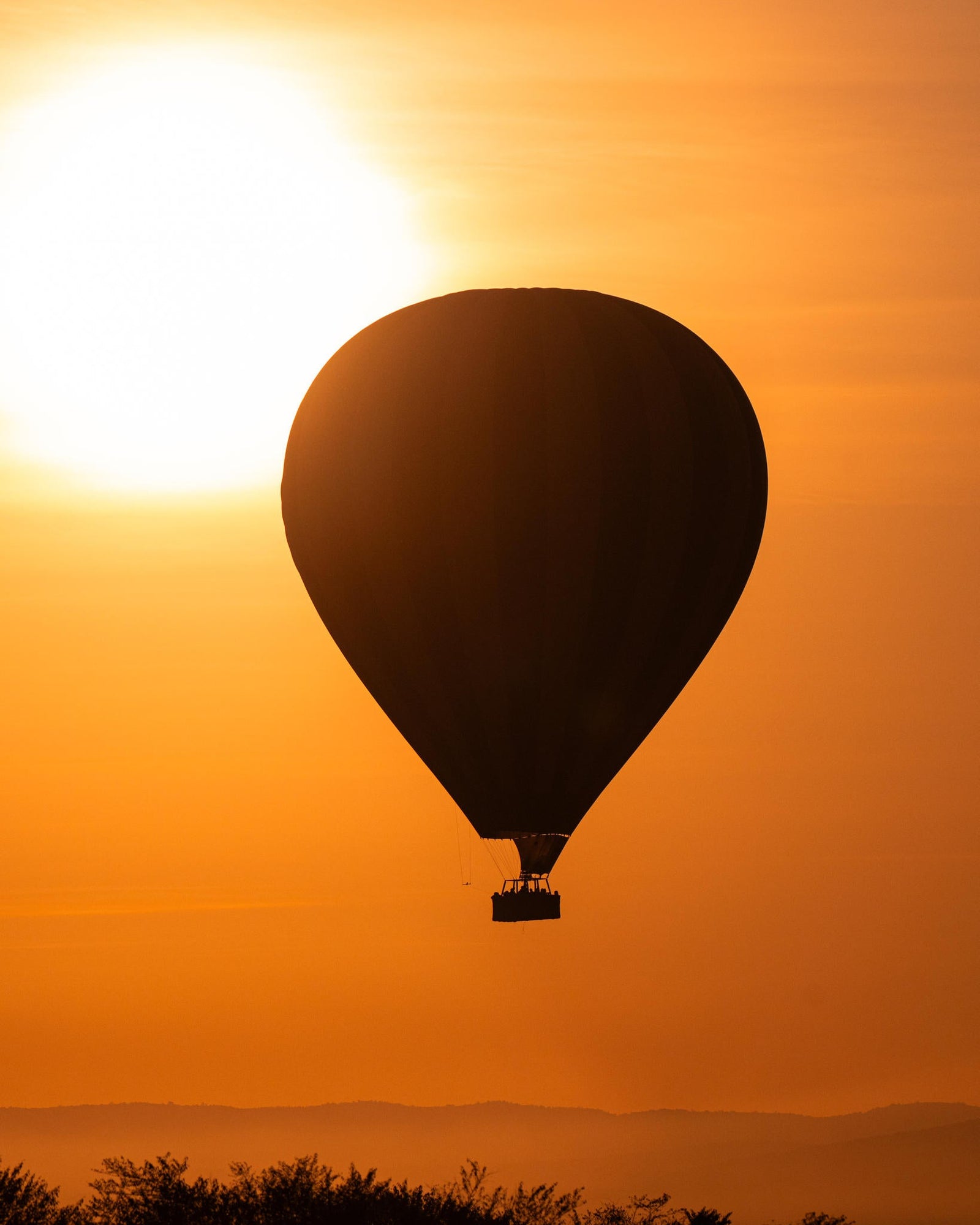 Balloon Safari