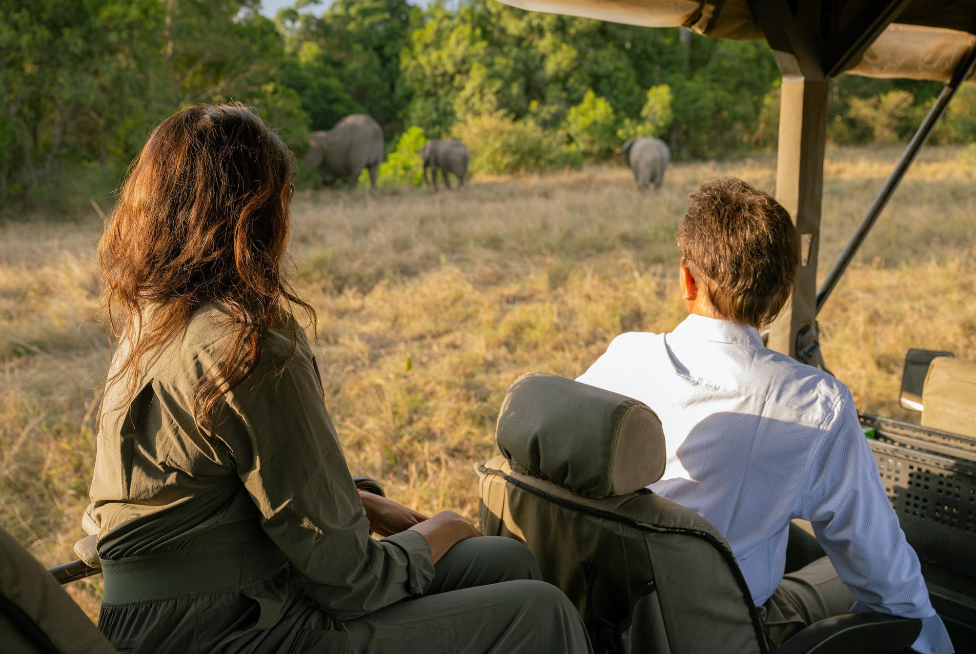 The Game Drive Experience gallery image 5