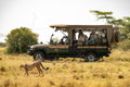The Game Drive Experience gallery image 1