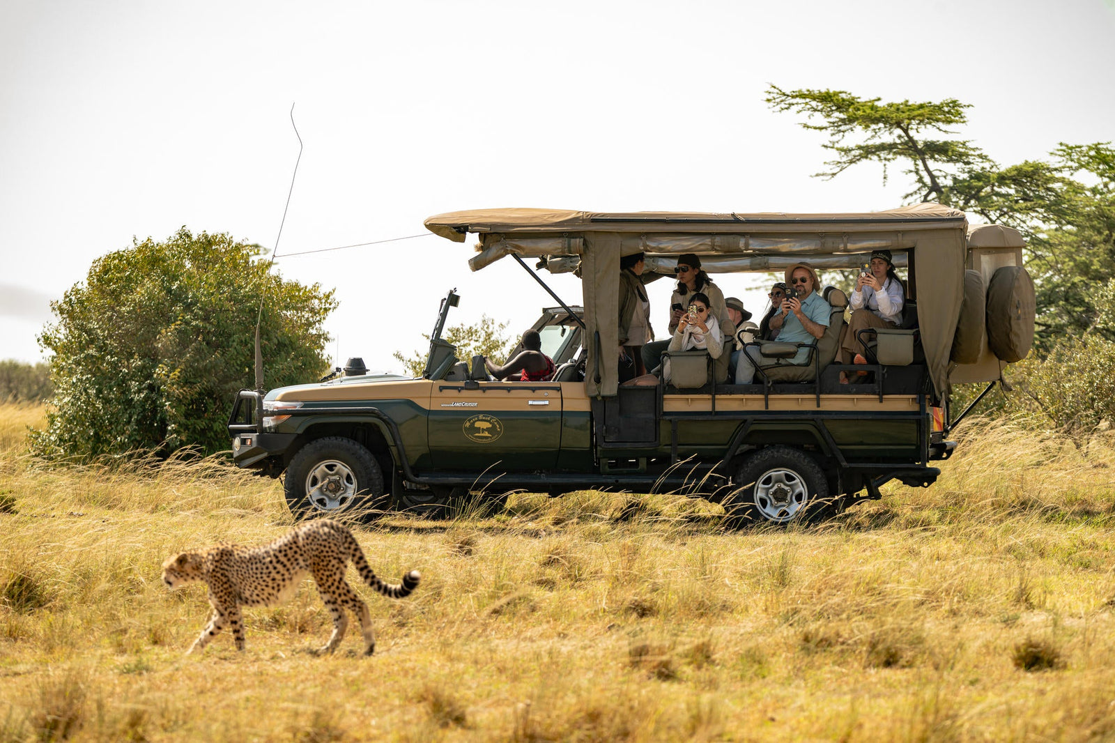 The Game Drive Experience