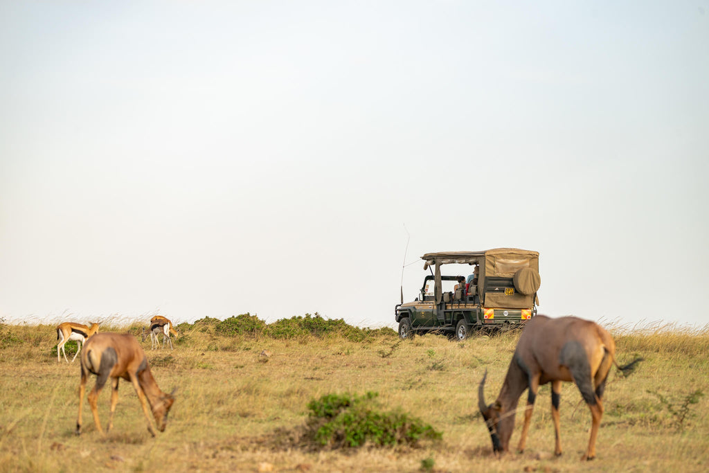 The Game Drive Experience gallery image 6