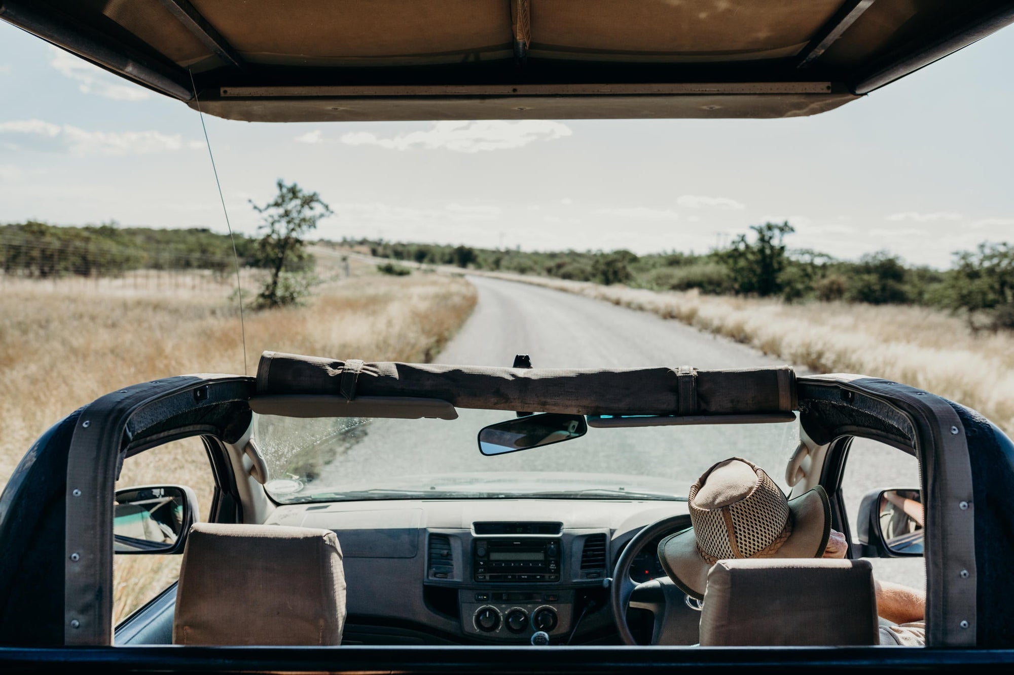Mapungubwe Game Drive gallery image 3