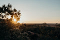 Mapungubwe Game Drive gallery image 1