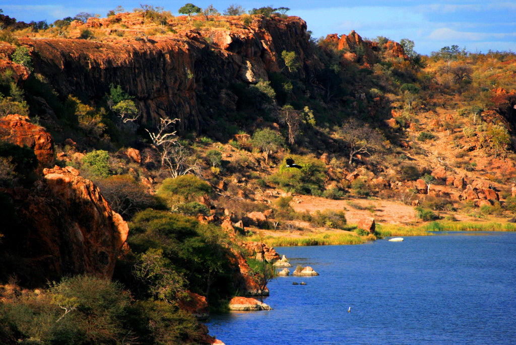 Mapungubwe Game Drive gallery image 7