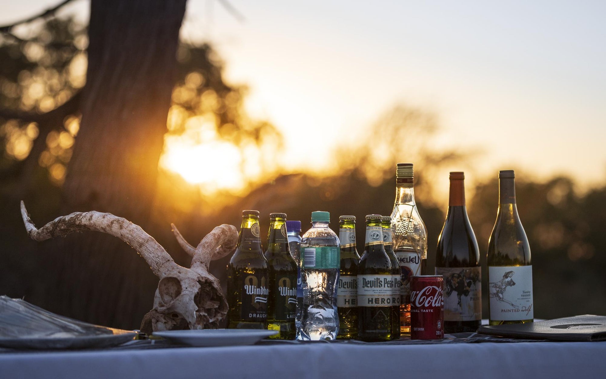 Mapesu Game Drives gallery image 9