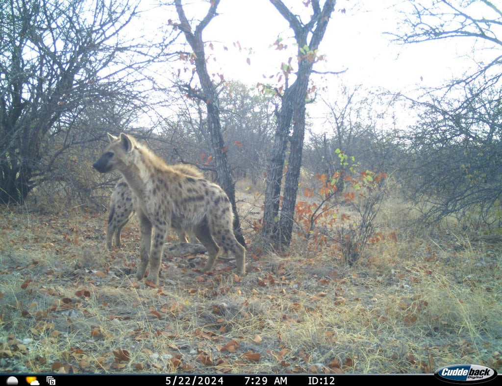 Mapesu Conservation Drive gallery image 4