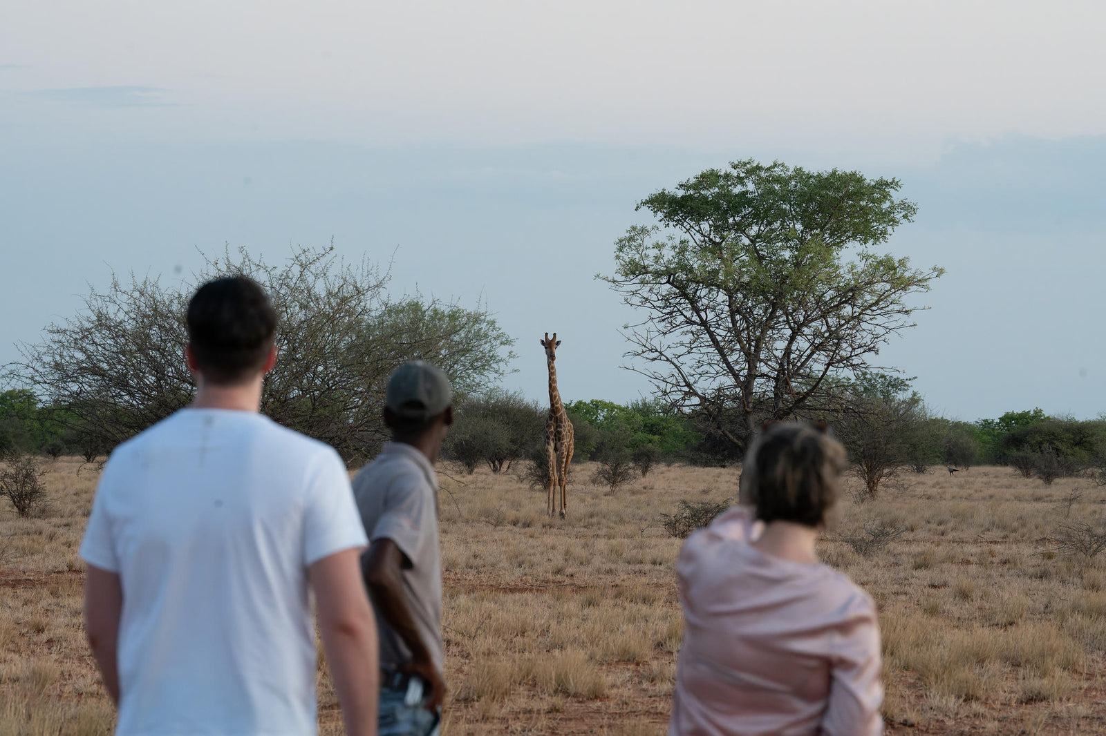 Mapesu Walking Safari