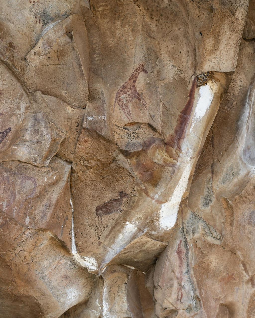 Kaoxa Rock Art Shelter gallery image 3