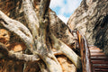 Mapungubwe Heritage & Museum Tour gallery image 1