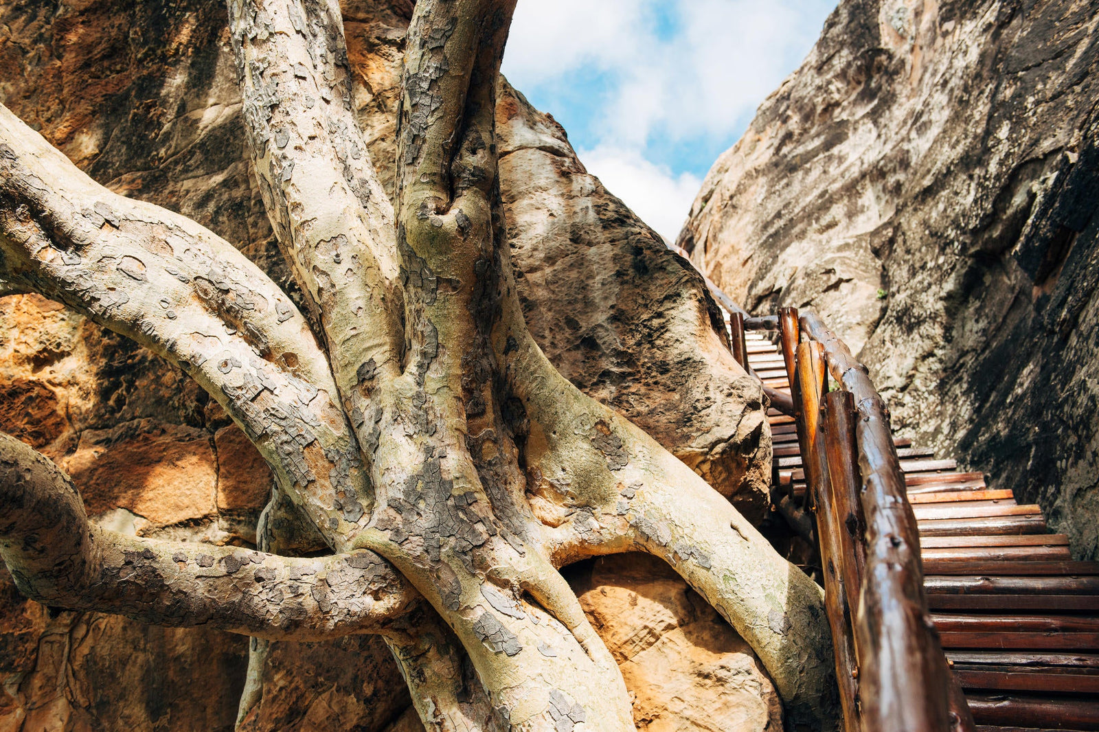 Mapungubwe Heritage & Museum Tour