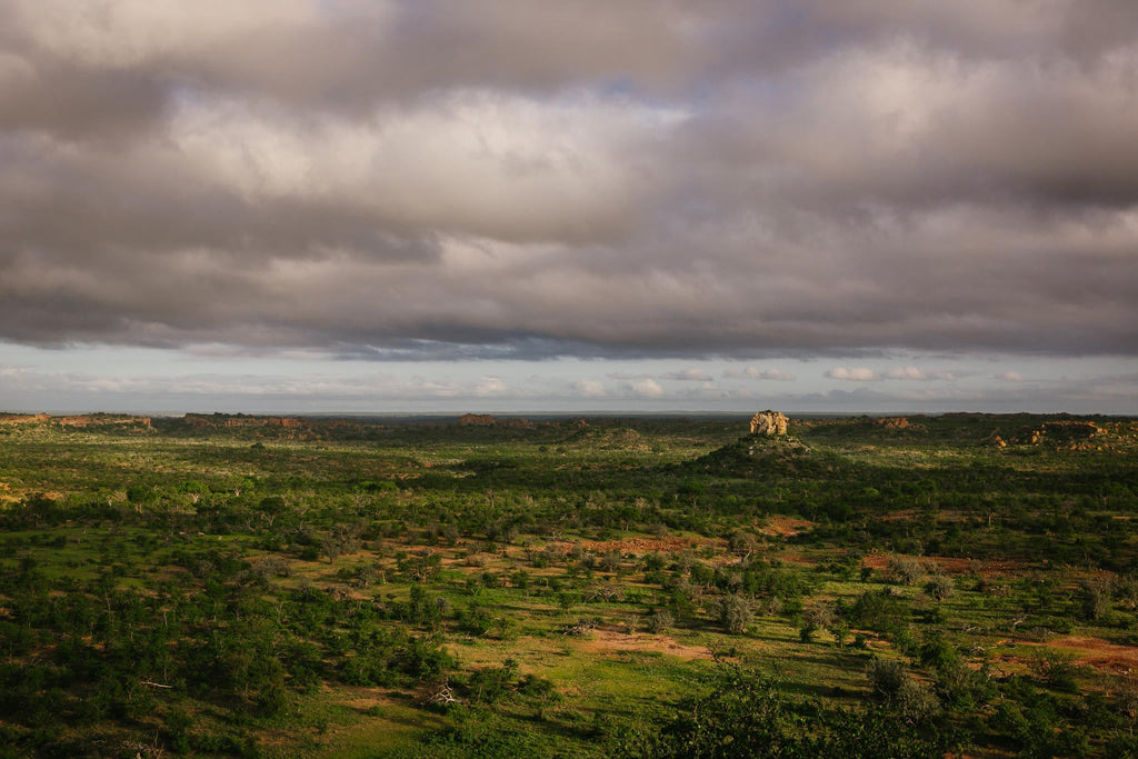 Mapungubwe Heritage & Museum Tour gallery image 3