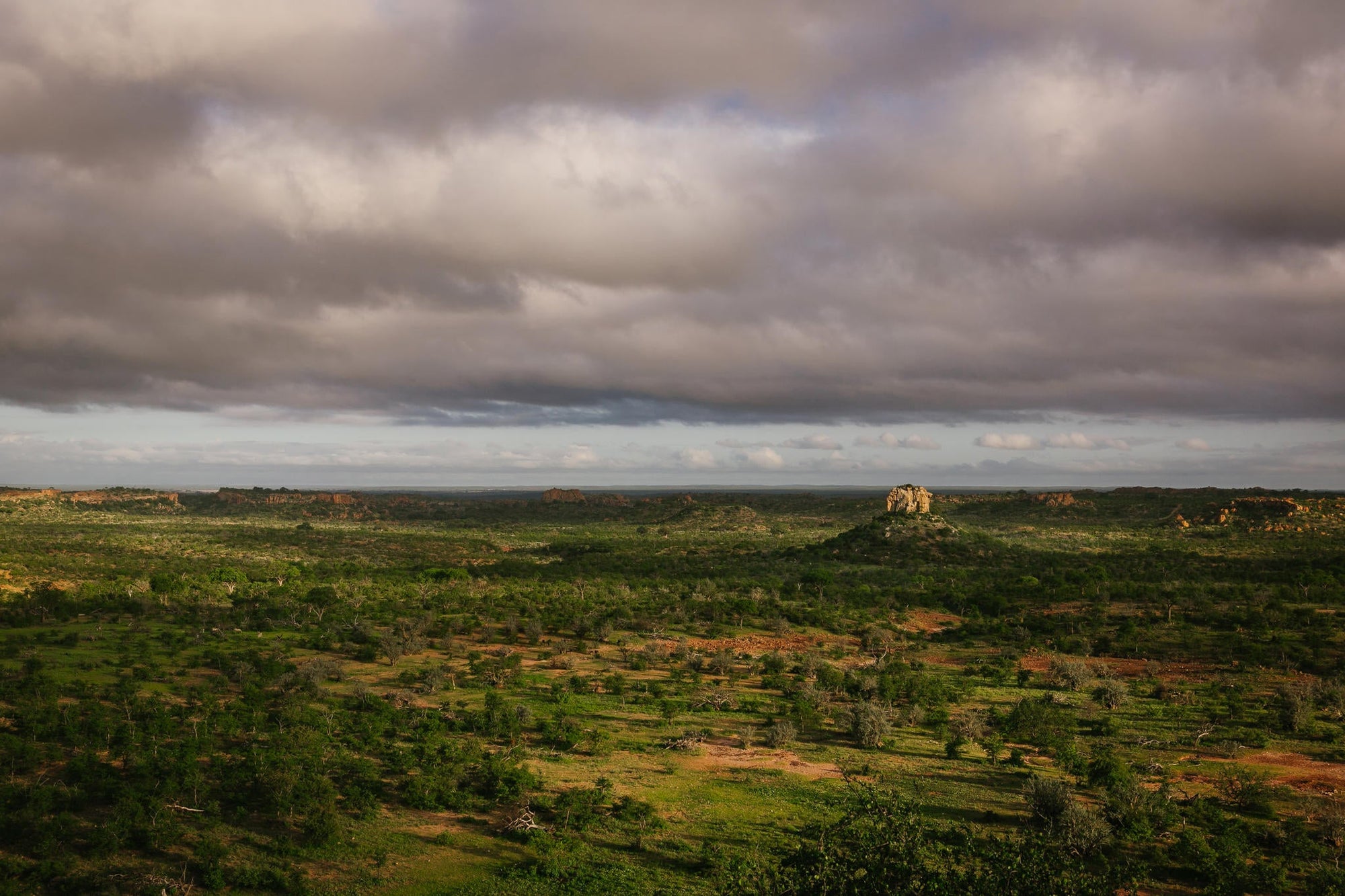 Mapungubwe Heritage & Museum Tour gallery image 3