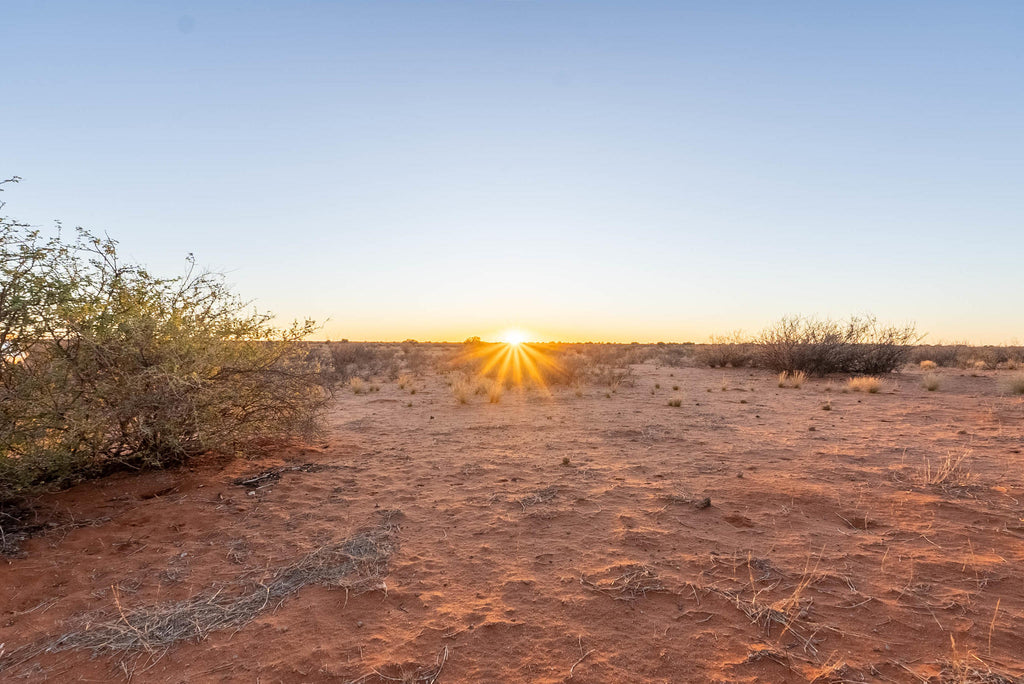Morning or Sunset Nature Drive (guided) gallery image 1
