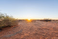 Morning or Sunset Nature Drive (guided) gallery image 1