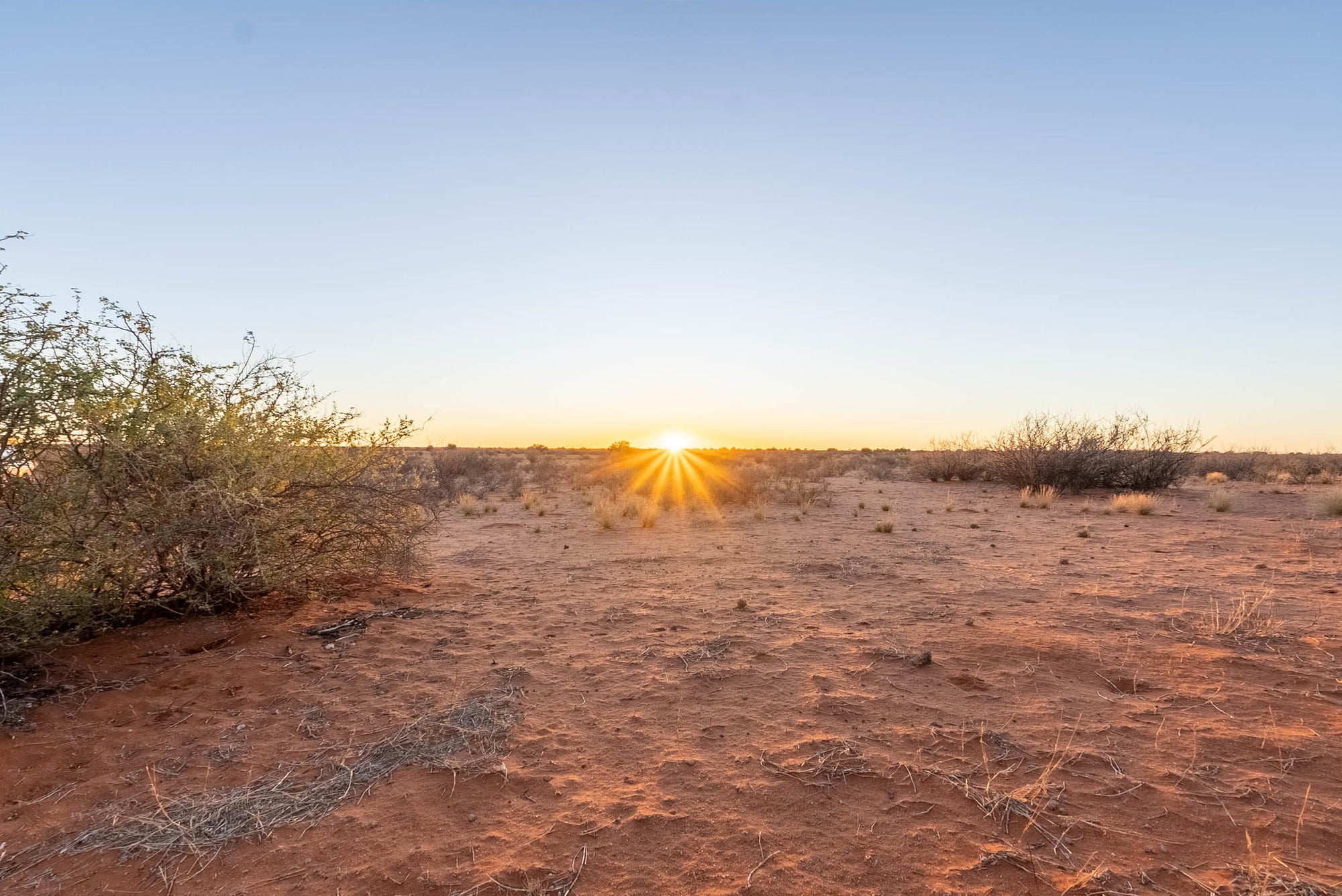 Morning or Sunset Nature Drive (guided) gallery image 1