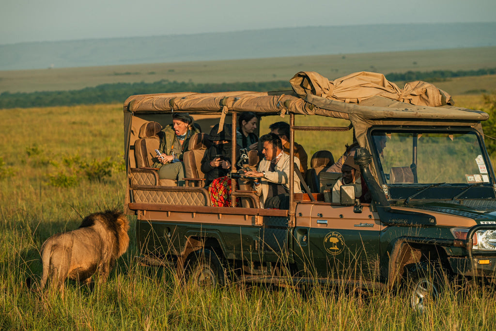The Game Drive Experience gallery image 12