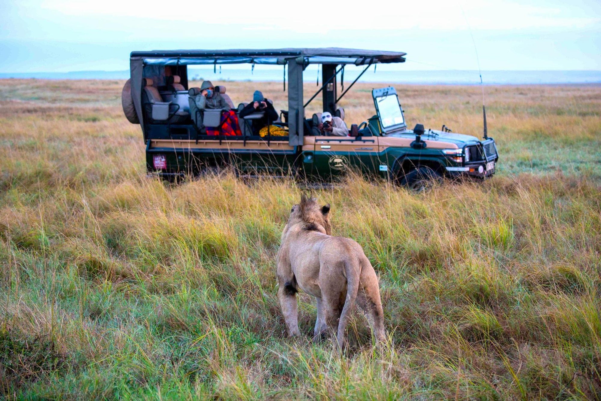 The Game Drive Experience gallery image 14