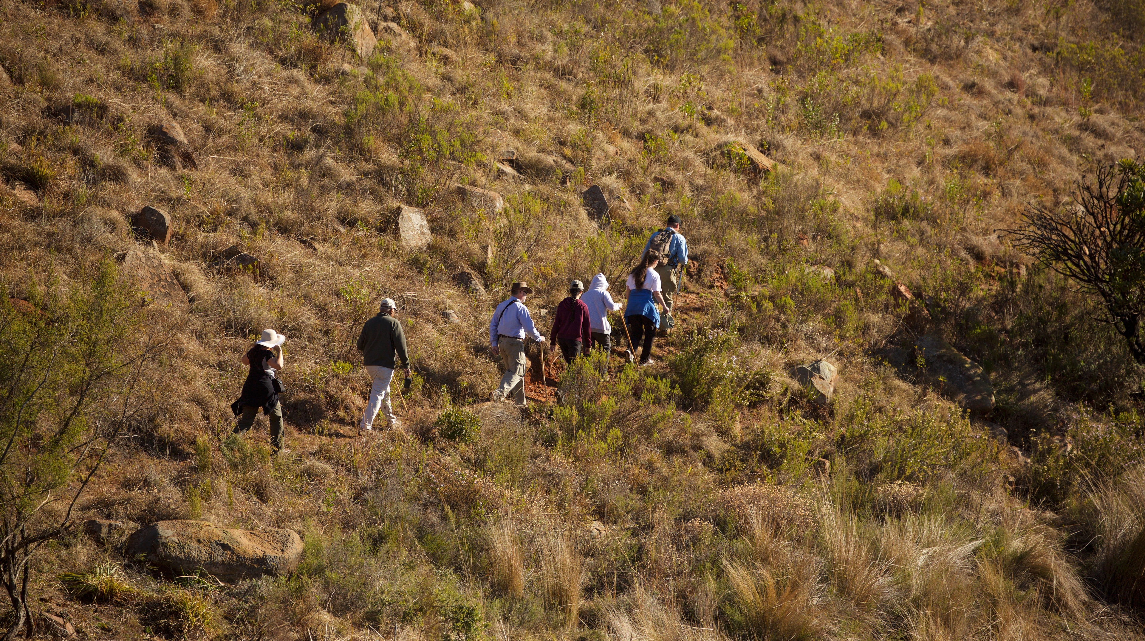 Activities at Mount Anderson include hiking, fishing, mountain biking and horse-riding