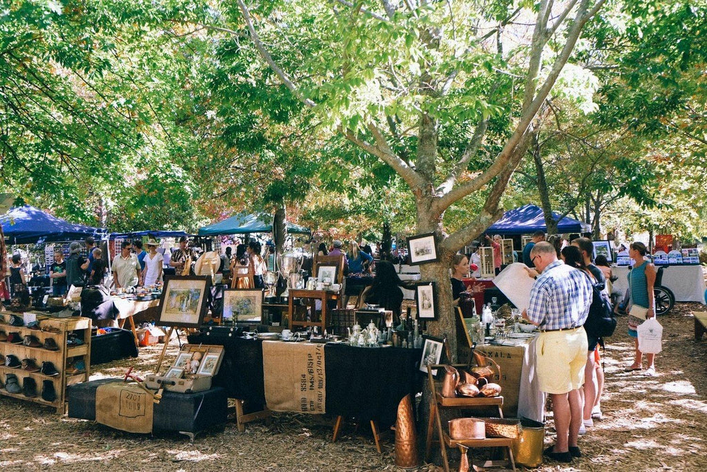 The valley of Franschhoek gallery image 8