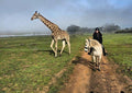 Equestrian Experiences  gallery image 1