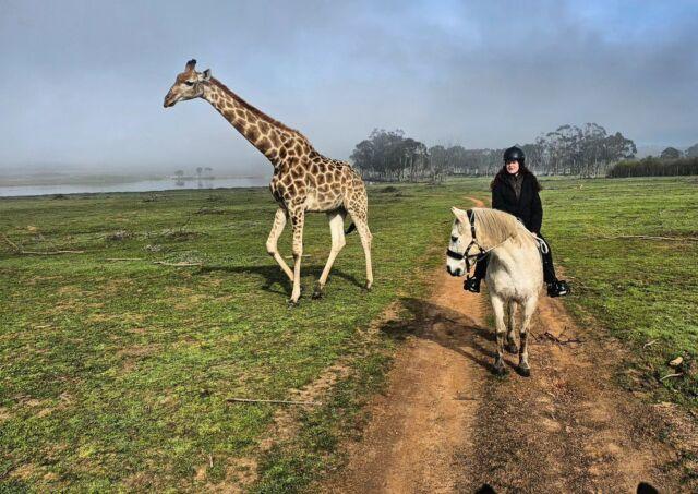 Equestrian Experiences