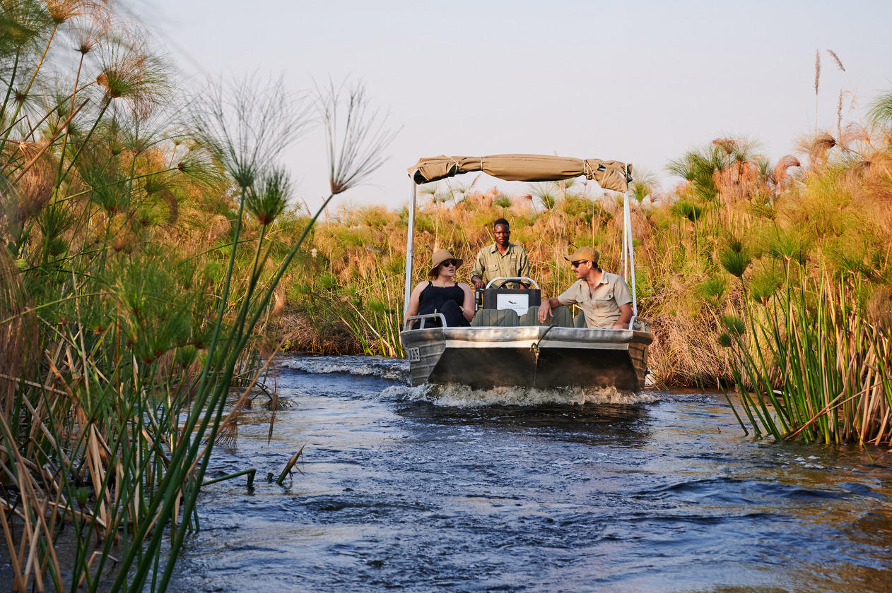 Motorboat Safaris
