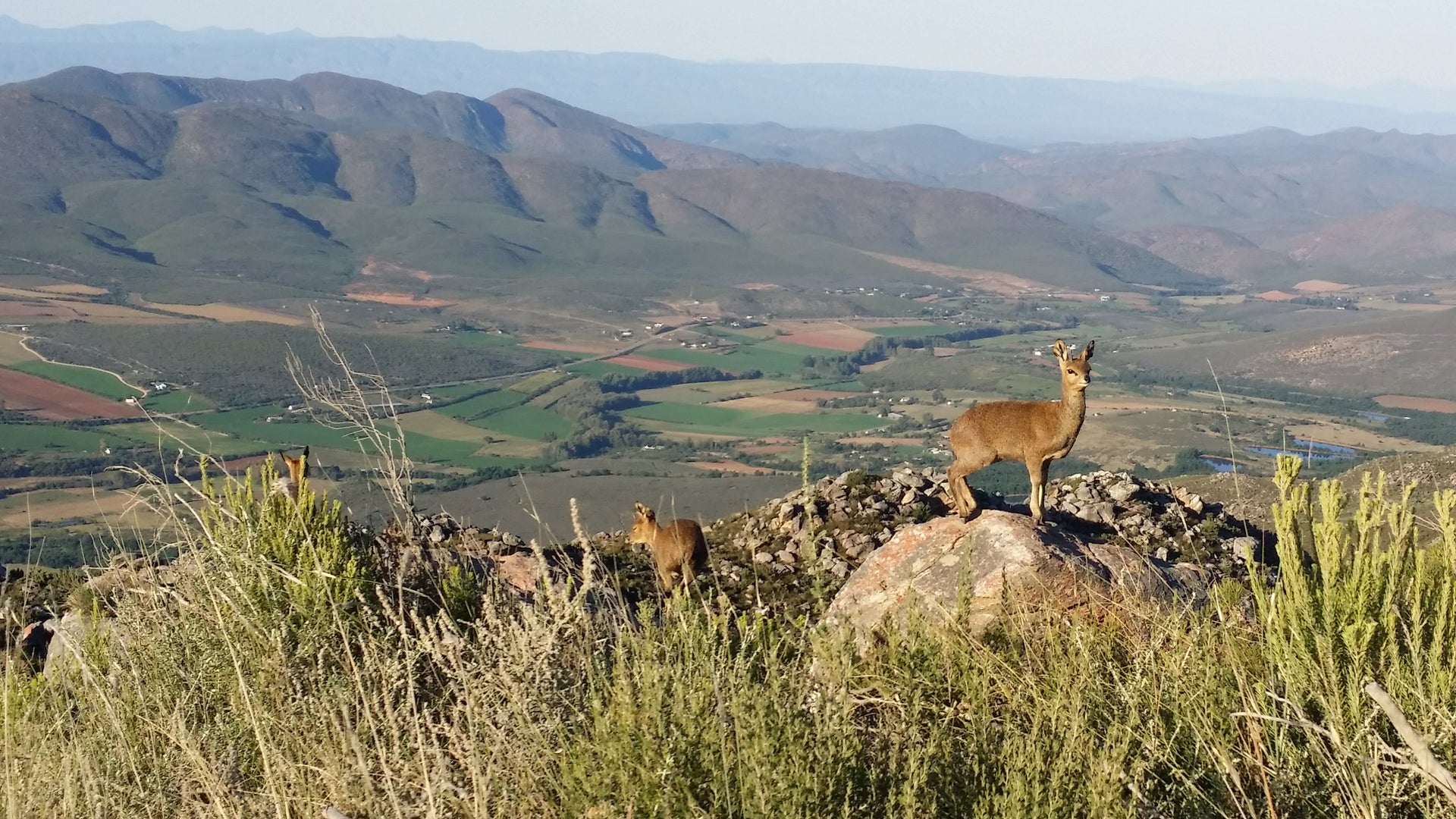 swartberg-pass-guided-tours