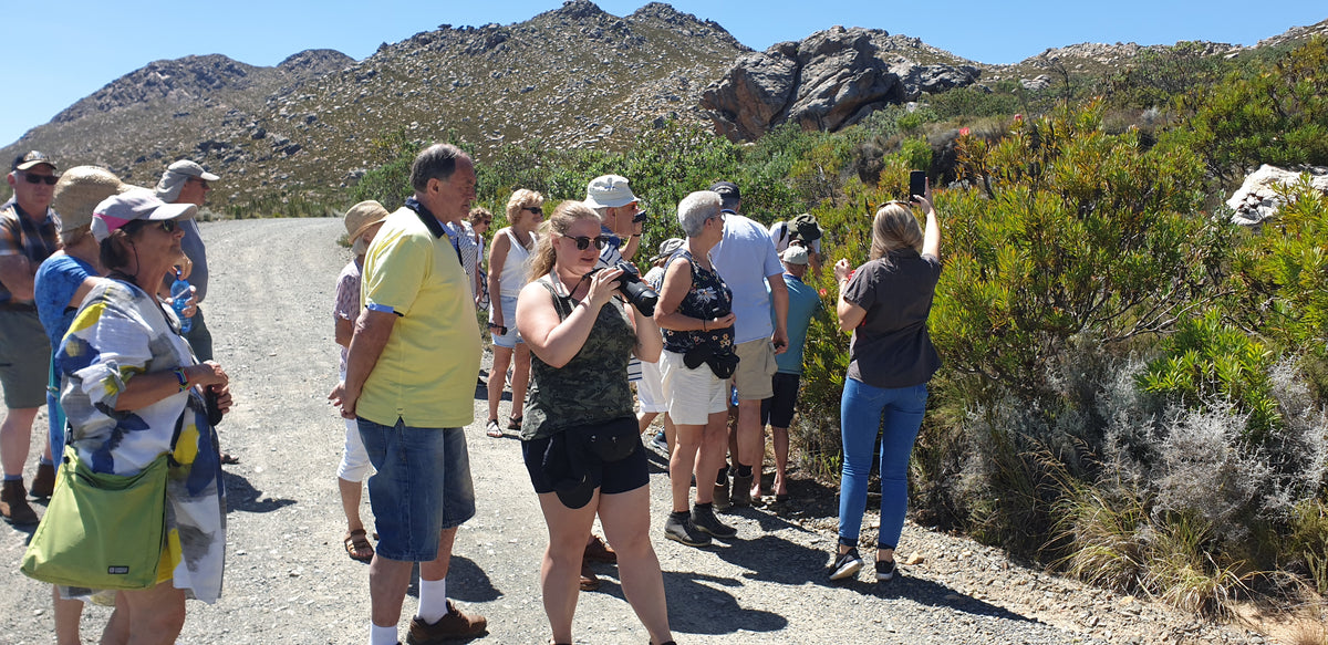 swartberg-pass-guided-tours