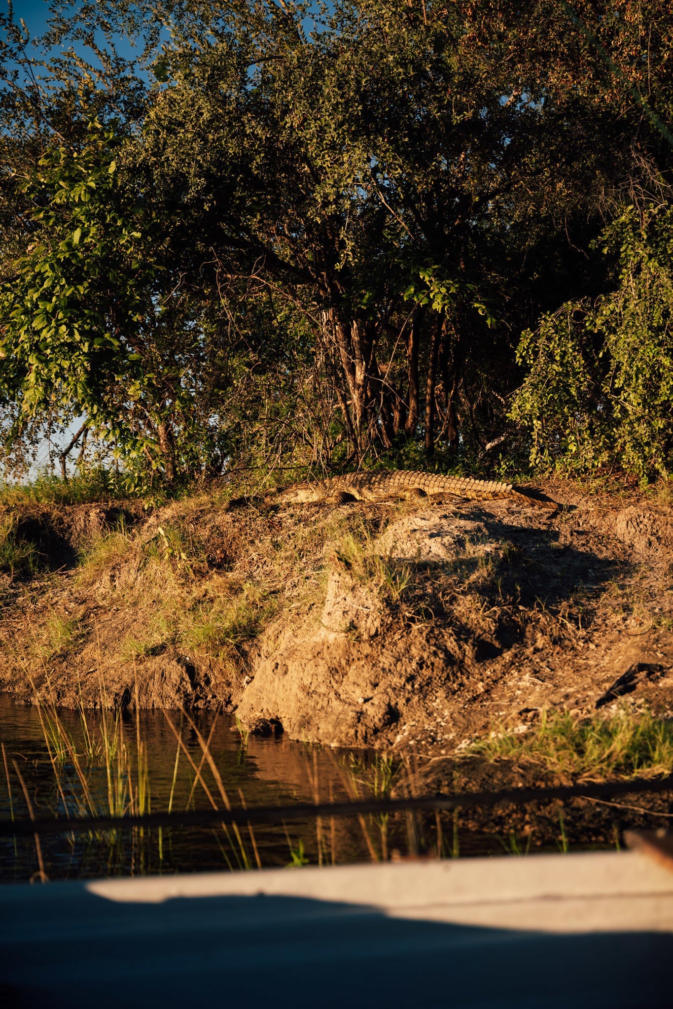 Chundukwa River Cruises  gallery image 8