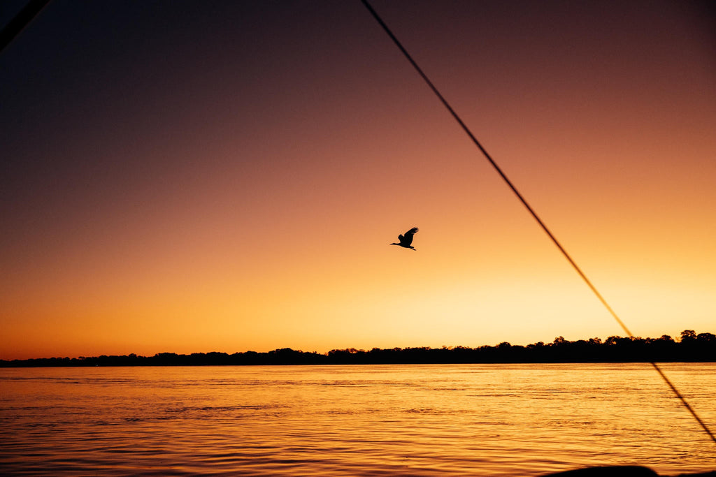 Chundukwa River Cruises  gallery image 12