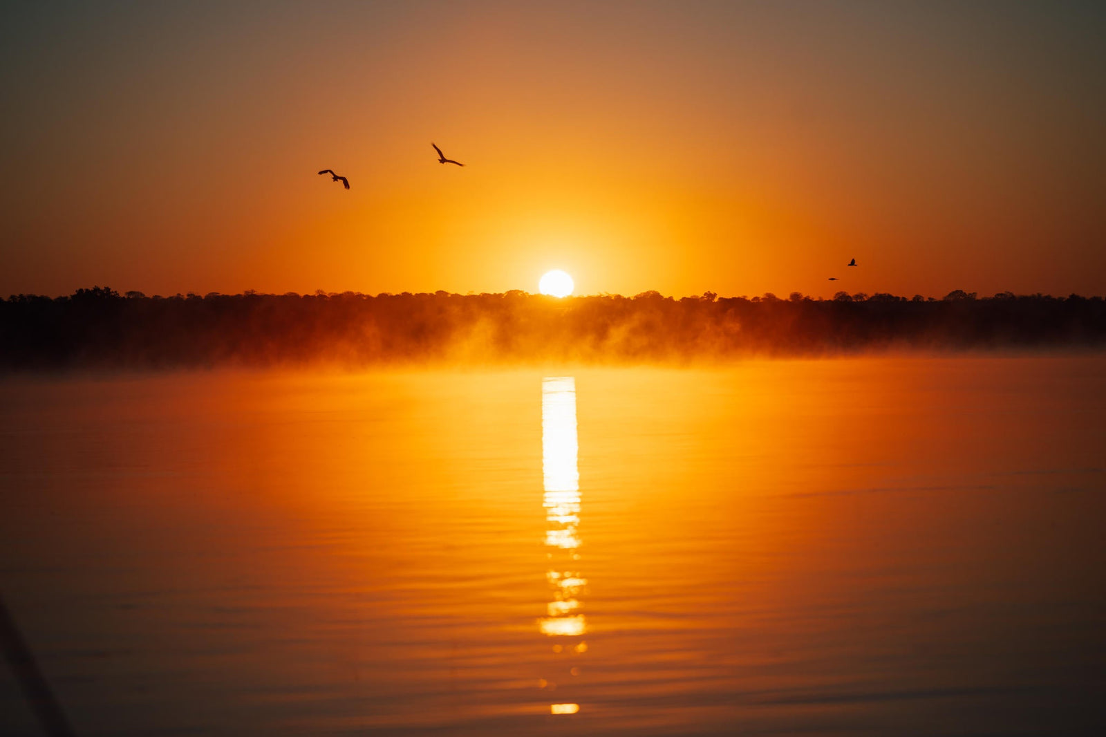 Chundukwa River Cruises