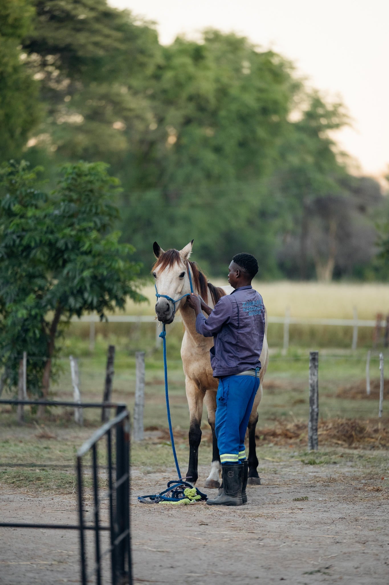 Chundukwa Horse Trails gallery image 3