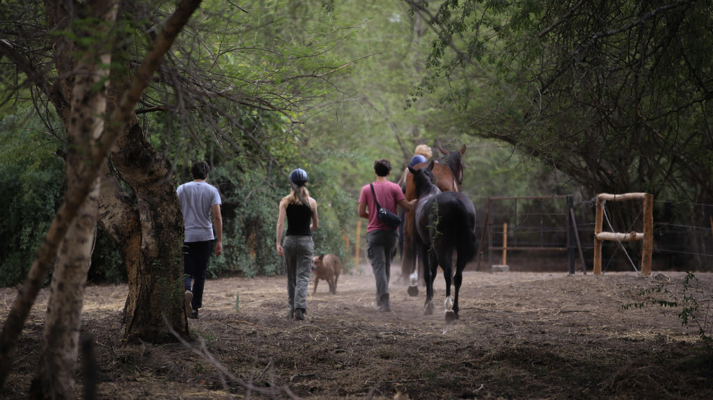 Chundukwa Horse Trails gallery image 17