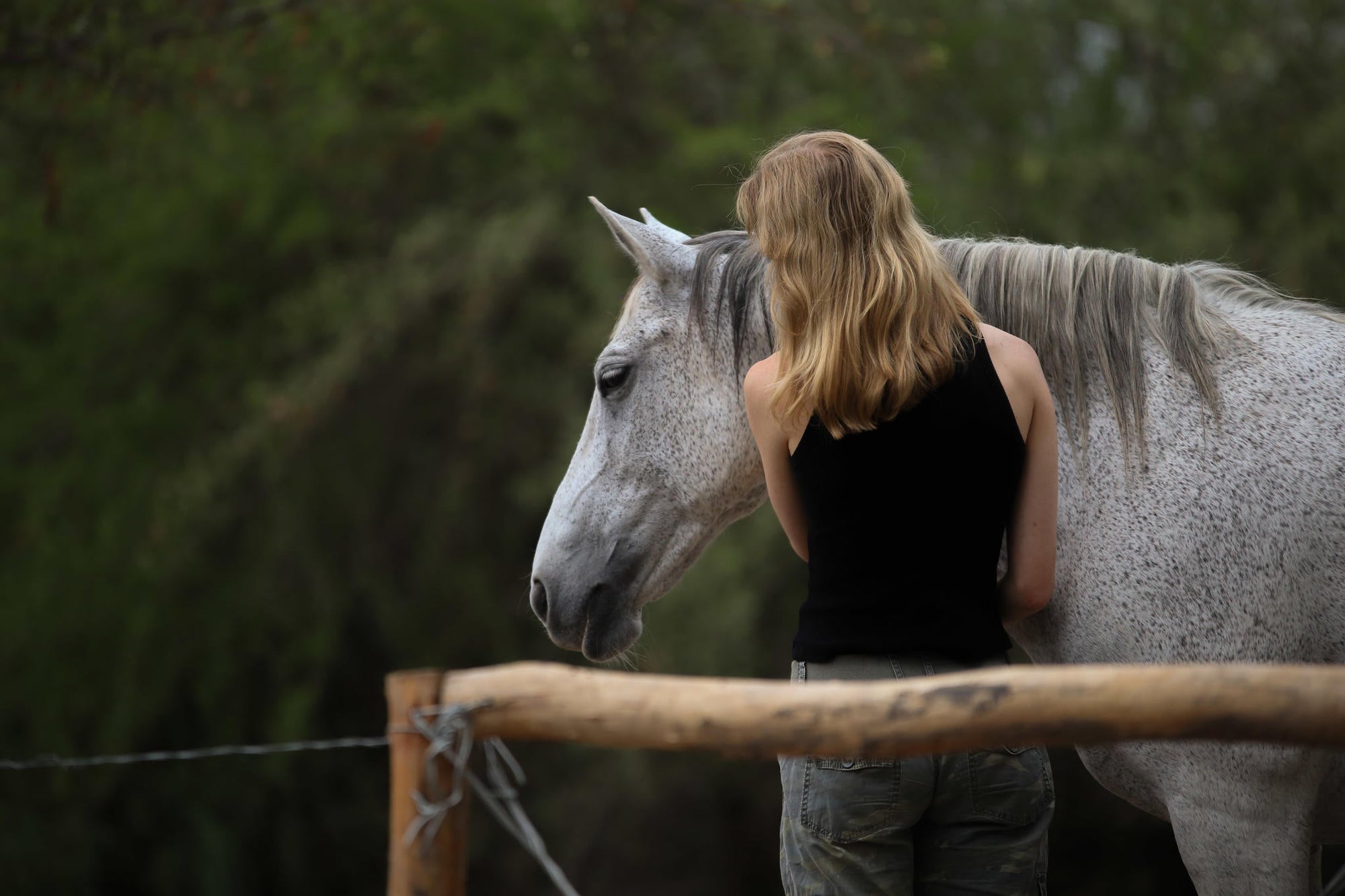 Chundukwa Horse Trails gallery image 18