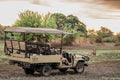 Morning & Afternoon Game Drives gallery image 1