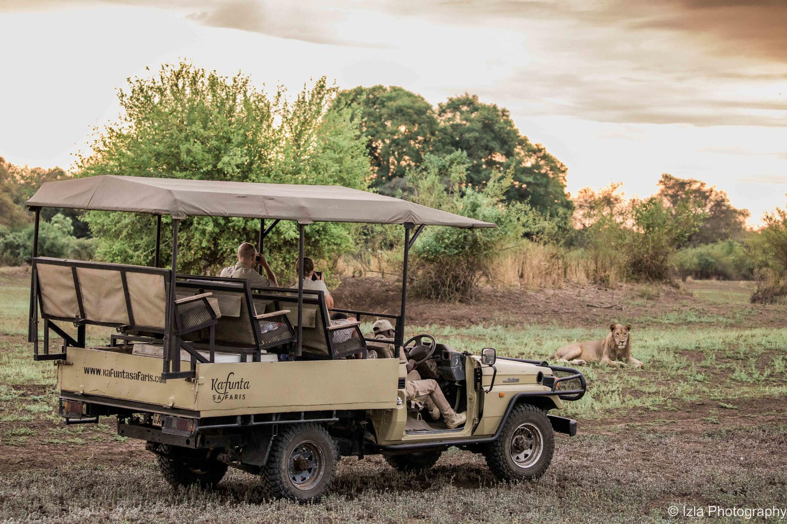Morning & Afternoon Game Drives