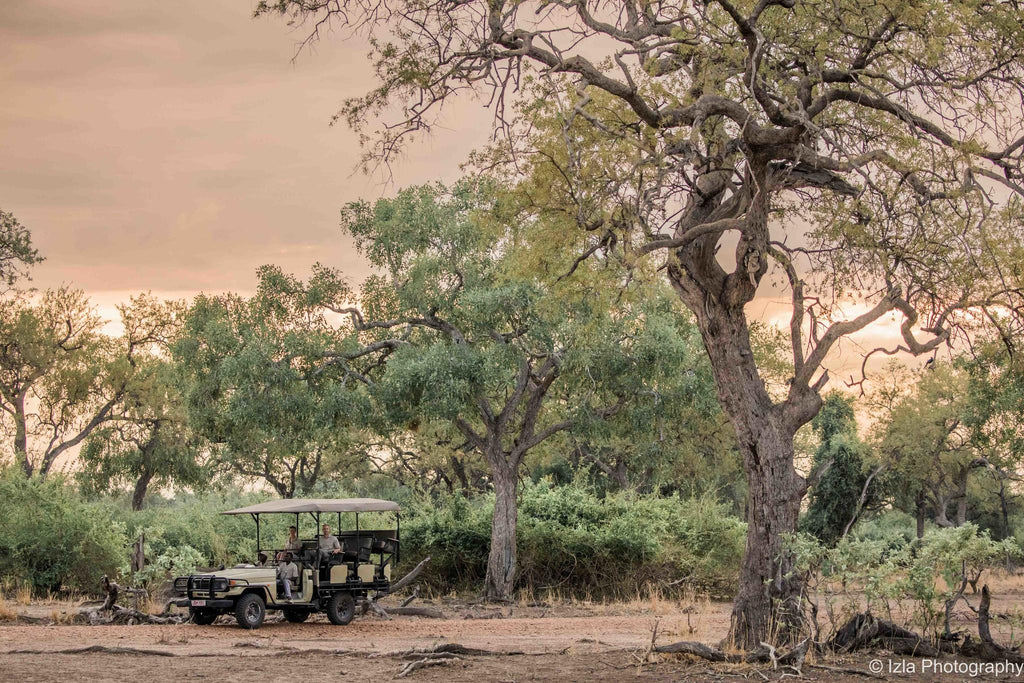 Morning & Afternoon Game Drives gallery image 2