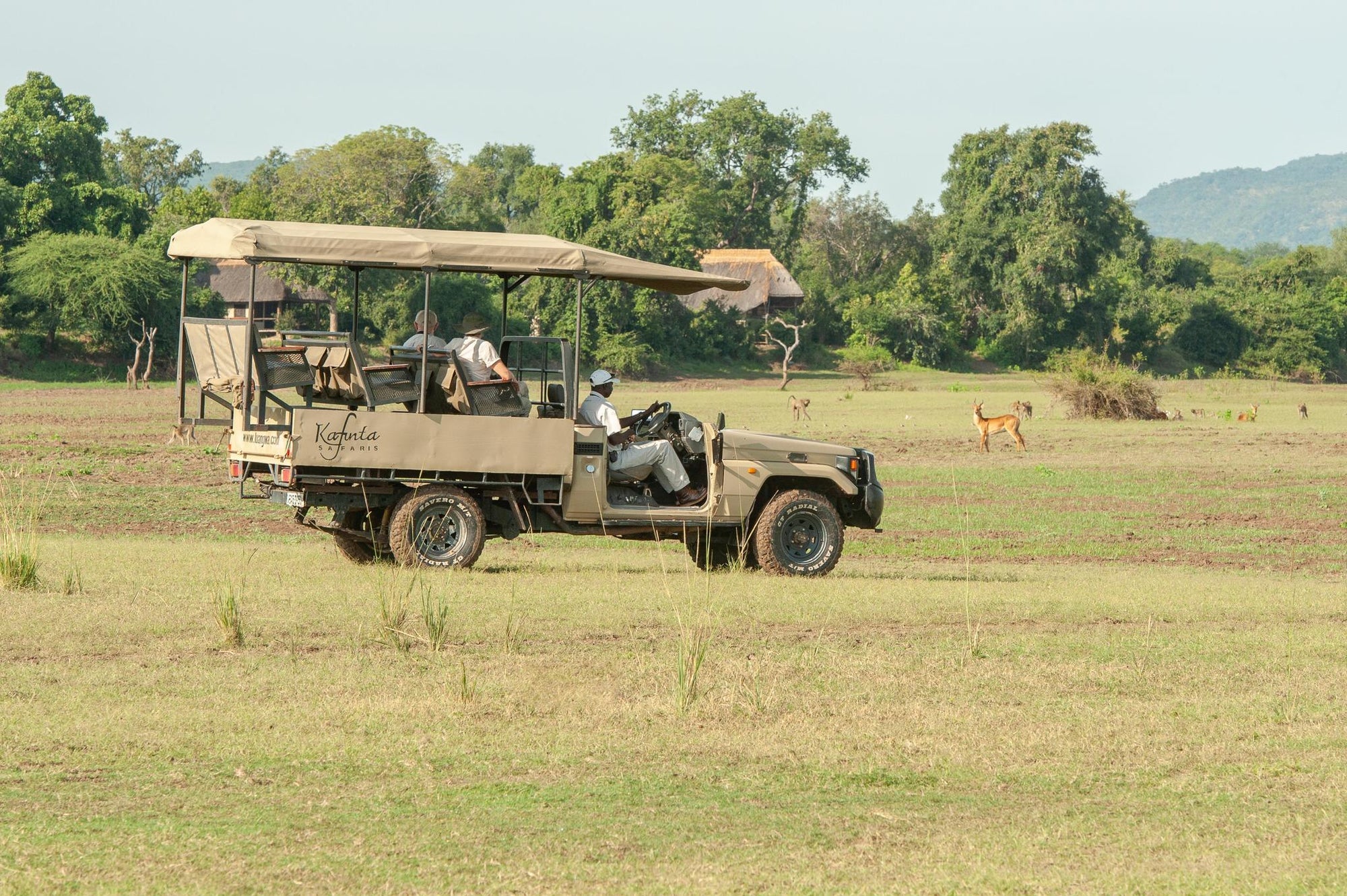 Morning & Afternoon Game Drives gallery image 3