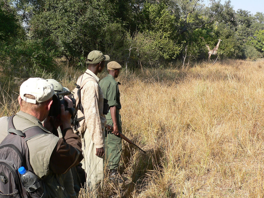 Bush Walks gallery image 2