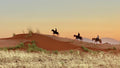 Horse Riding gallery image 1