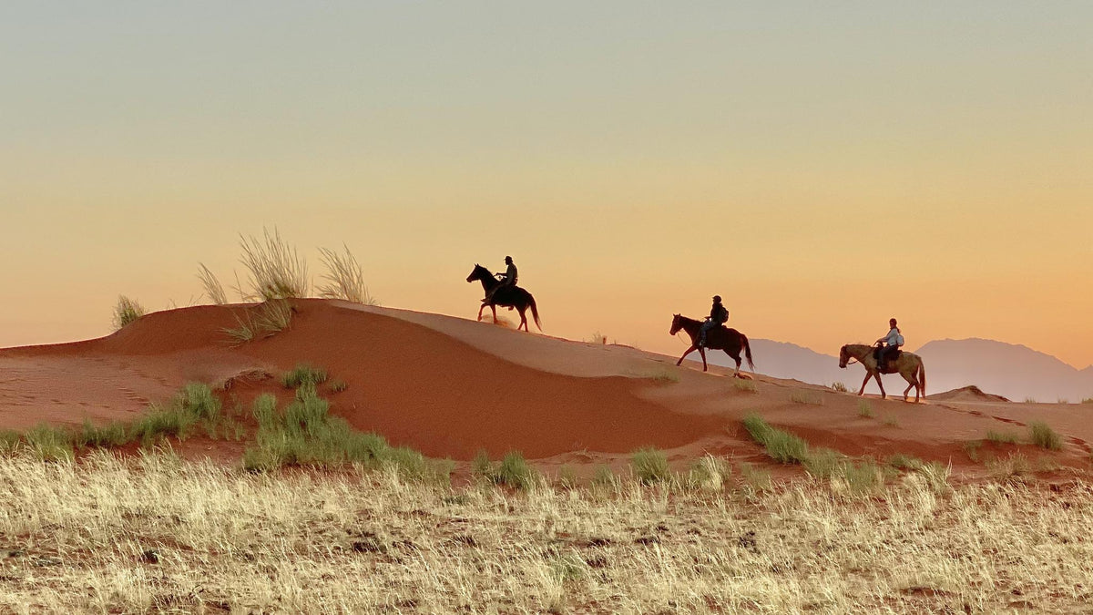 Horse Riding