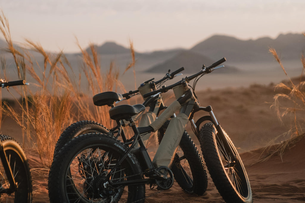 E-Bike Ride gallery image 4