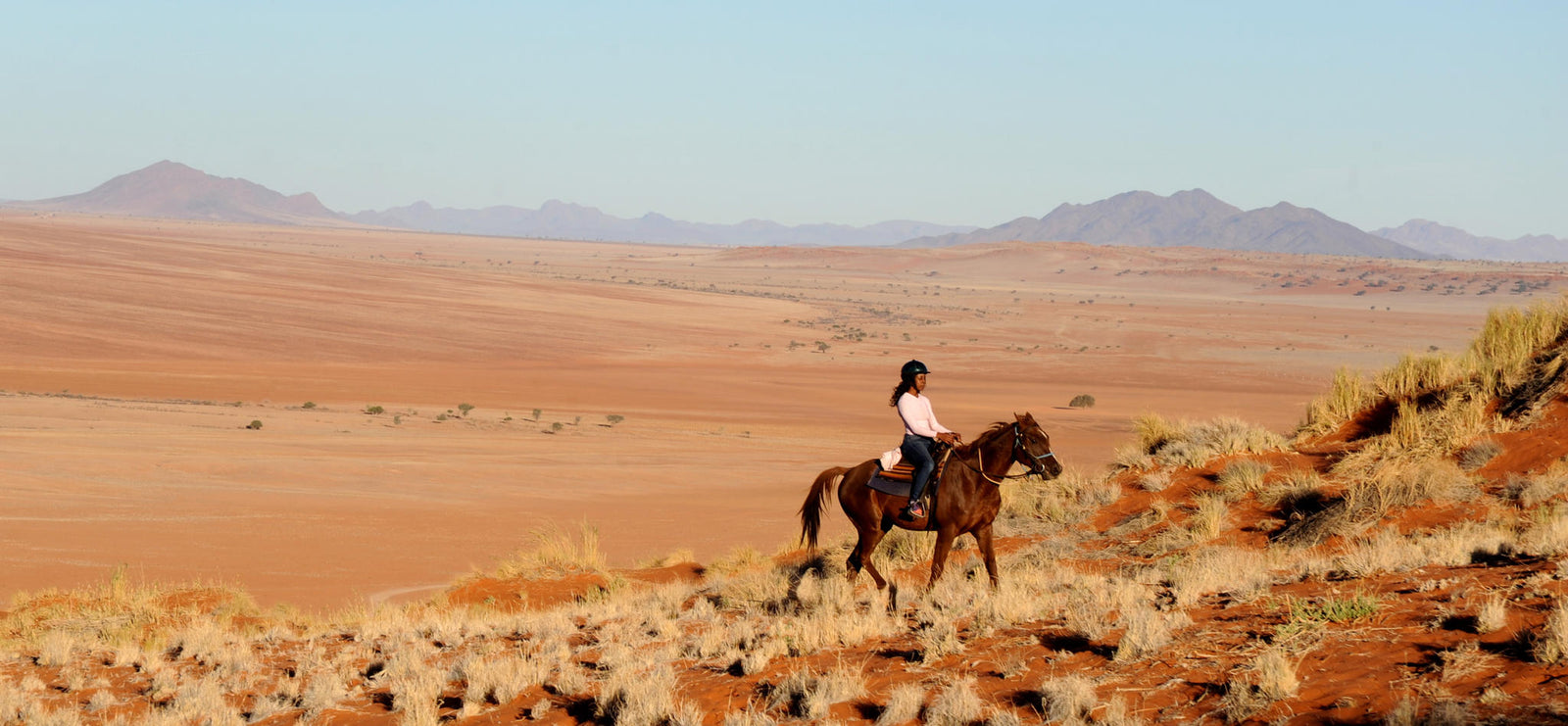 Horse Riding