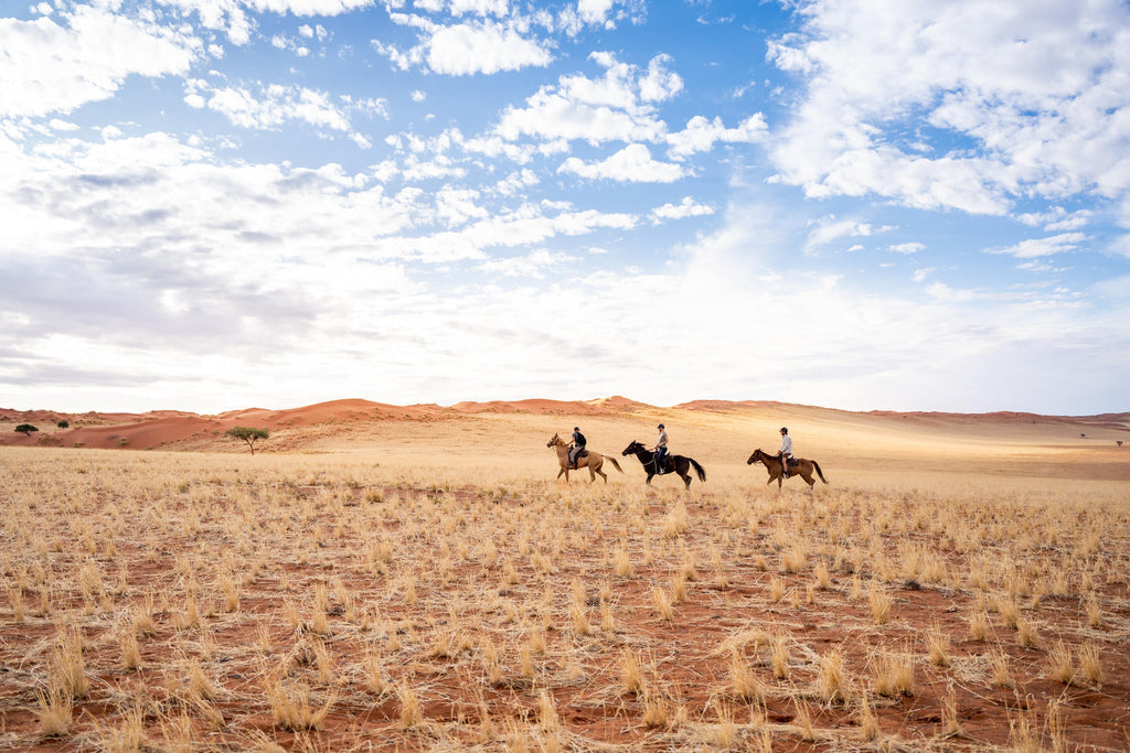 Horse Riding gallery image 2