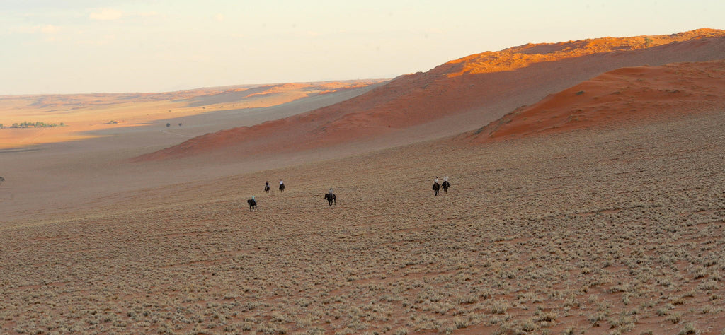 Horse Riding gallery image 6