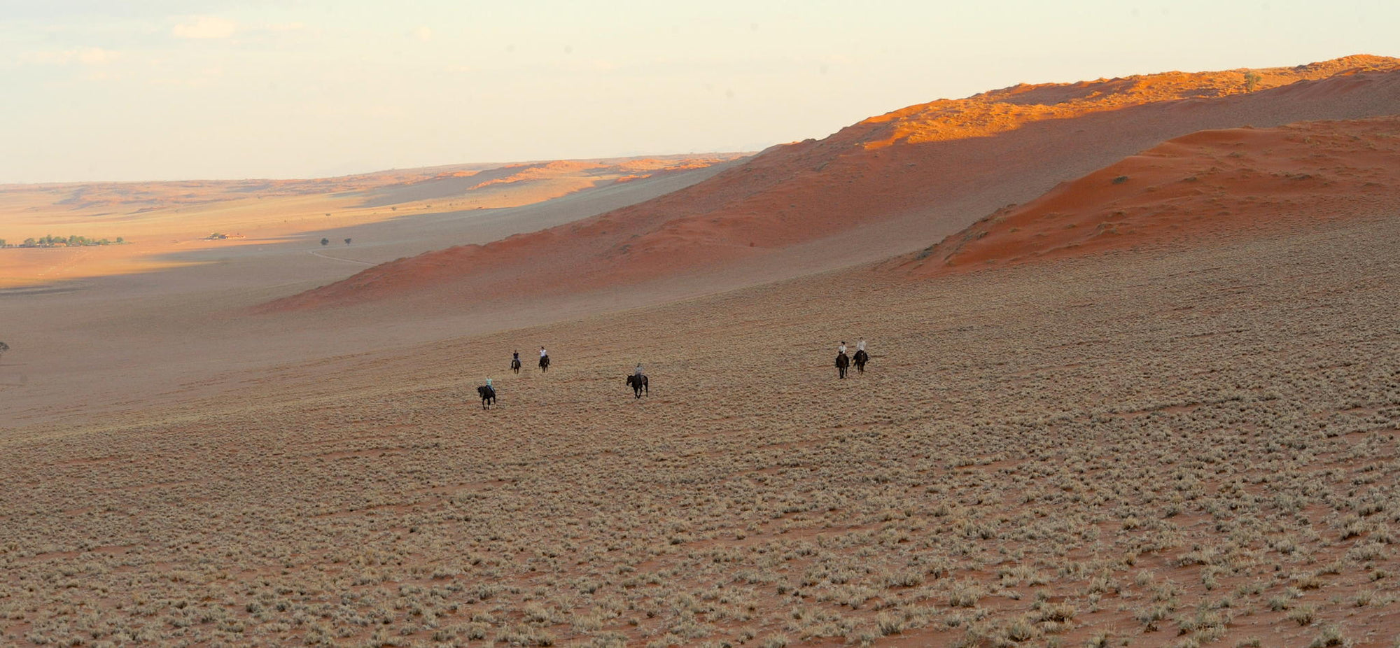 Horse Riding gallery image 6